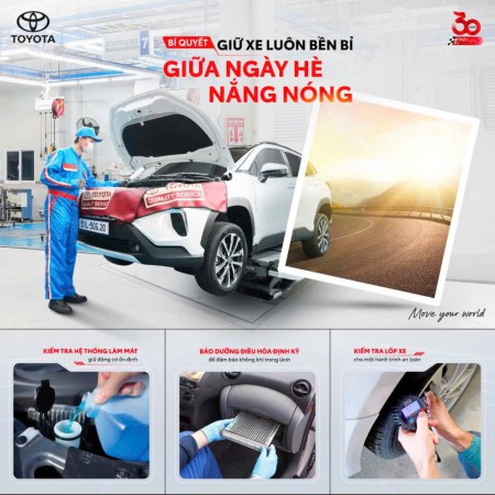 CHĂM SÓC XẾ CƯNG MÙA HÈ 