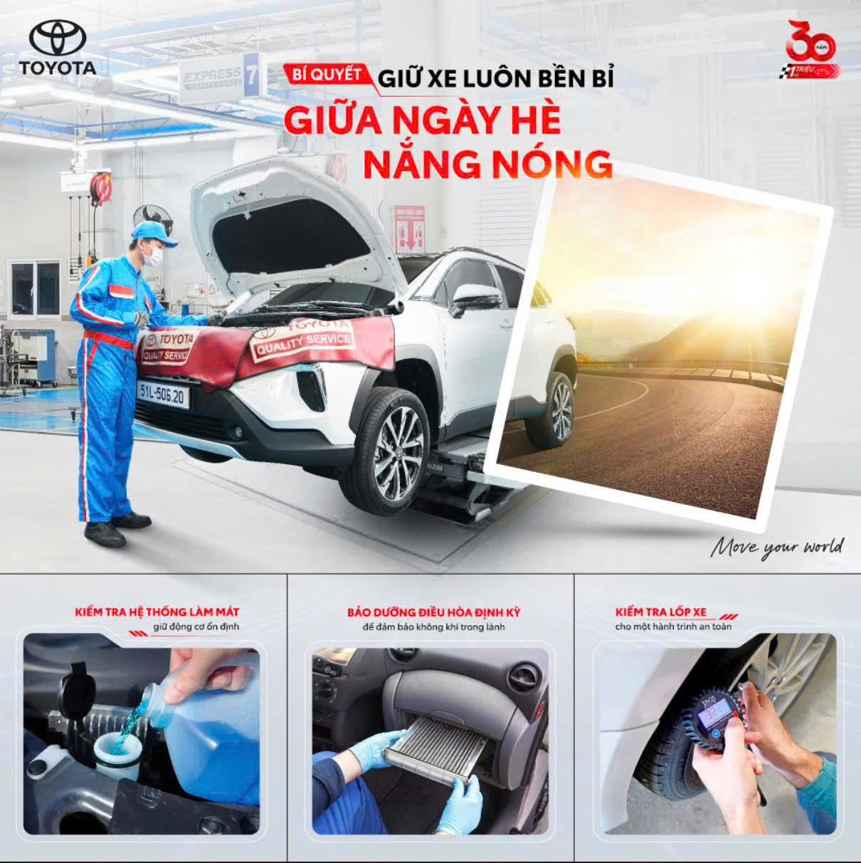 CHĂM SÓC XẾ CƯNG MÙA HÈ 